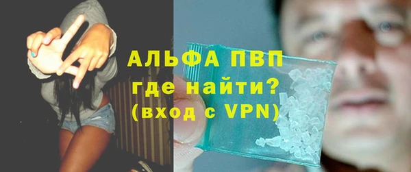 тгк Абаза