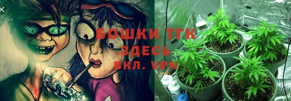 тгк Абаза
