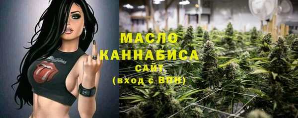 тгк Абаза