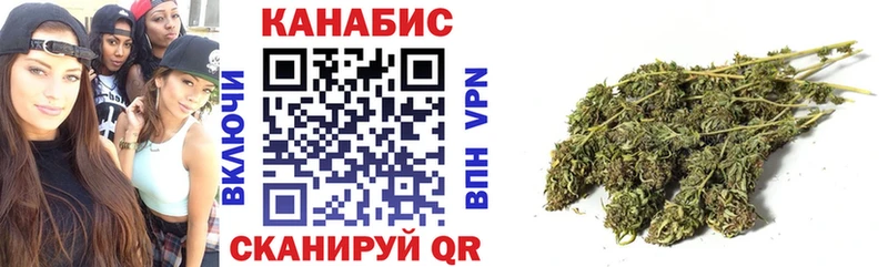 Конопля планчик Шенкурск